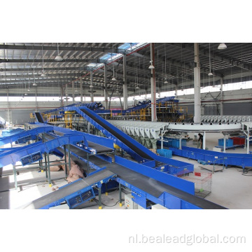 Ring Cross Belt Sorteer Machine